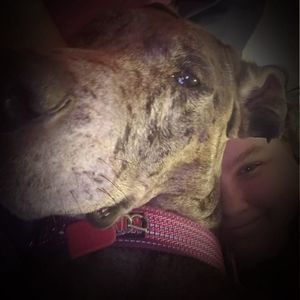 Meet your Posher, Lynnae